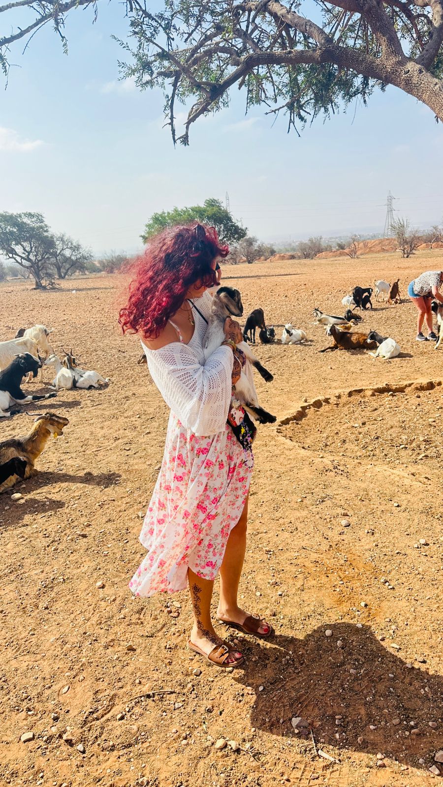 Essaouira Atlantic coast and beaches